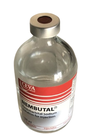 Nembutal pentobarbital solution